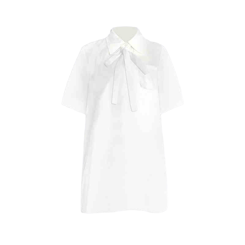 2025  Bow Shirt Dress